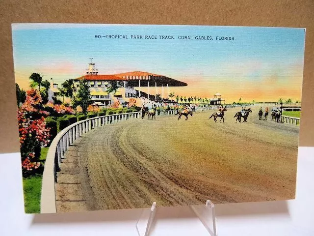 Linen Postcard Tropical Park Race Track Coral Gables Florida FL