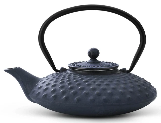 Asiatische Teekanne Gusseisen Teekessel Tee Kanne Teesieb emailliert 0,8 L blau