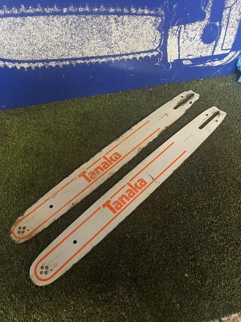 Barra Di Ricambio Per Potatore A Batteria Seghetto BLUE BIRD CS 22-04 - Foto 12