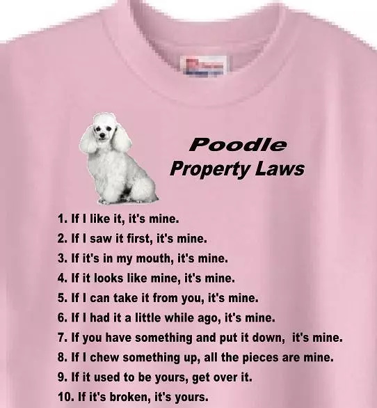 Dog T Shirt Men Women - Poodle Property Laws - Cat T Shirt Available