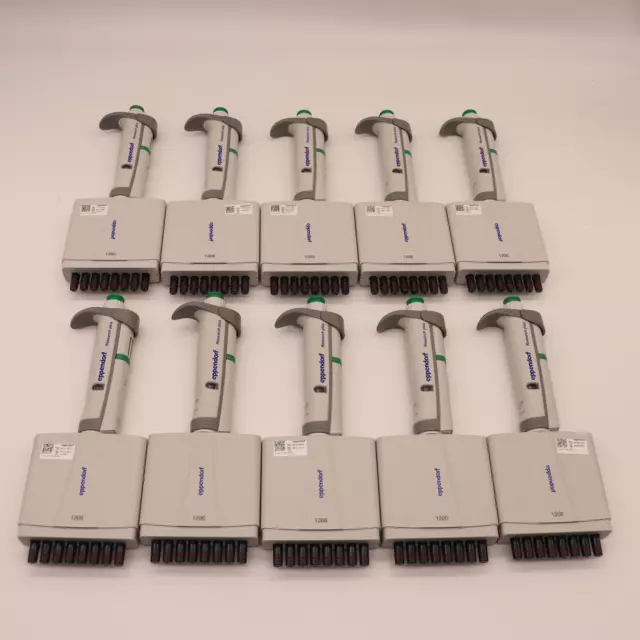 Lot De (10) Eppendorf Recherche Plus 8 Canal Pipettes 120-1200 Ul