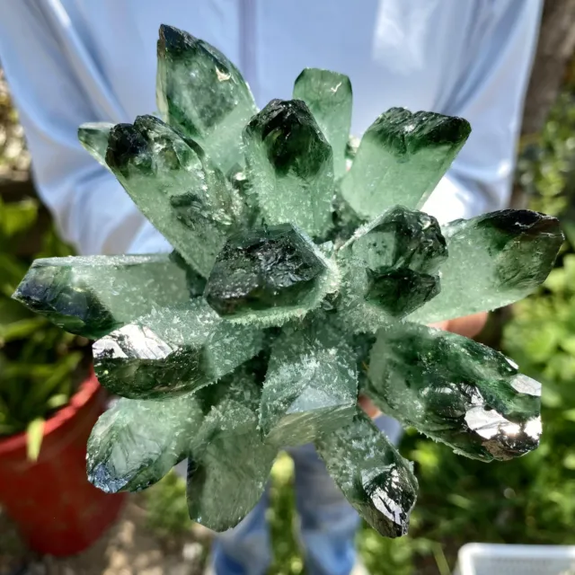 1.69LB New Find Green Phantom Quartz Crystal Cluster Mineral Specimen Healing