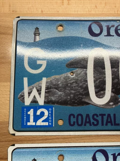 Oregon Specialty License Plate Whale Coastal Playground - Pair - GW00157 2
