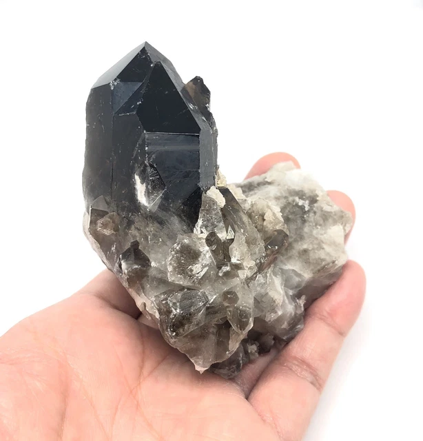 Beautiful Irradiated Smoky Quartz Crystal Cluster 243g From Brazil