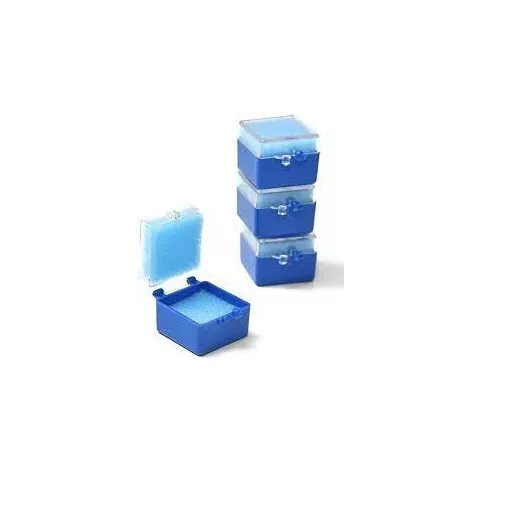 Housebrand 1'' Dental Crown Box With Foam Blue Color 1000 Pcs 3