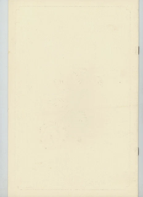 Delta Lancia Delta One Suite, La Prima Classe Business Al Mondo Composta Esclusivamente Da Suite Individuali - Foto 8