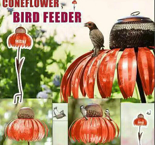 Kaufe Großer Wildvogelfutterhäuschen Hängt Für  Produktbild-Vorschau 12