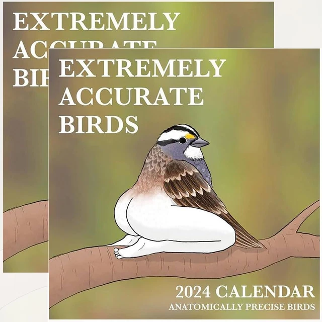 2024 CALENDAR OF EXTREMELY ACCURATE BIRDS 2024 Bird Calendar Wall
