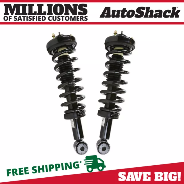 Front Complete Struts Coil Springs Pair 2 for Ford F-150 Lincoln Mark LT 4.6L V8