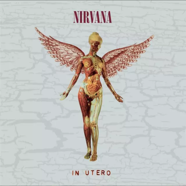 In Utero (30Th Anniversary Super Deluxe) (5 Cd+Memorabilia) - Nirvana (Audio Cd)