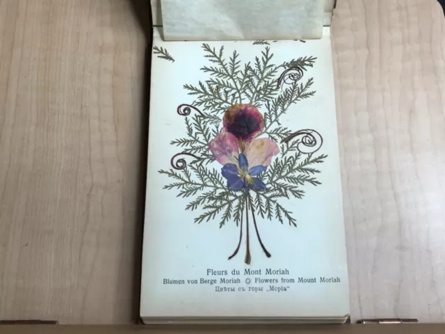 1900 Blumen vom Heilige Lande, Flowers of the Holy Land - Victorian Tourist Book