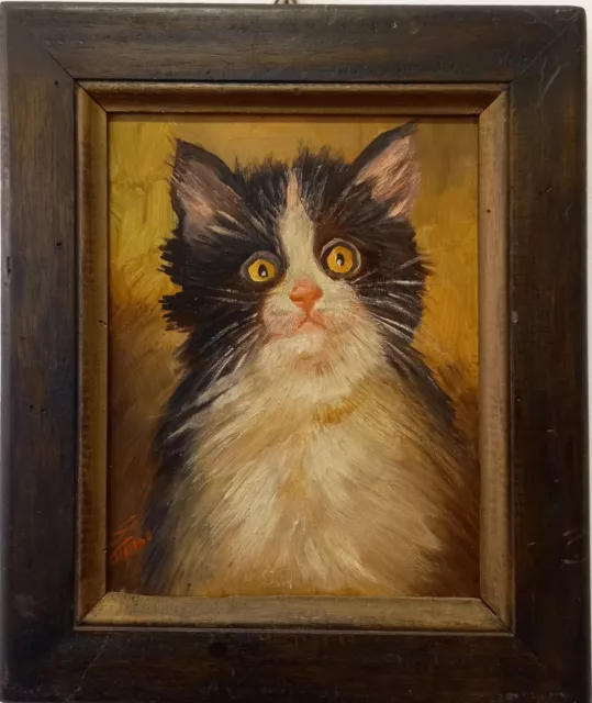 Goffredo Cupini, Gatto, Olio su Compensato,  1970,  Quadro 25x20 Cm