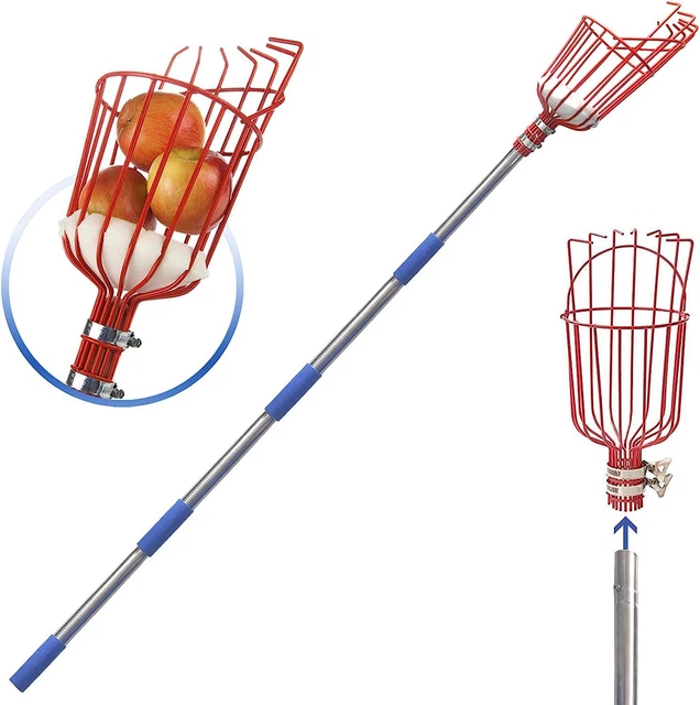 Fruit Picker, 5.5 Foot Fruit Picker Tool with Stainless Steel Connecting Pole,