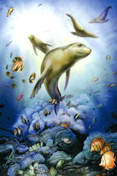 Poster Seals Sea Lions Fish Coral Reef