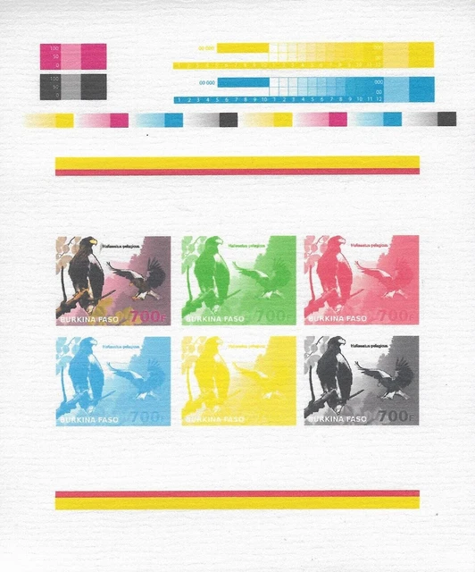 Greifvögel, Raubvögel, Seeadler, Haliaeetus Pelagicus, ungezähnt, postfrisch