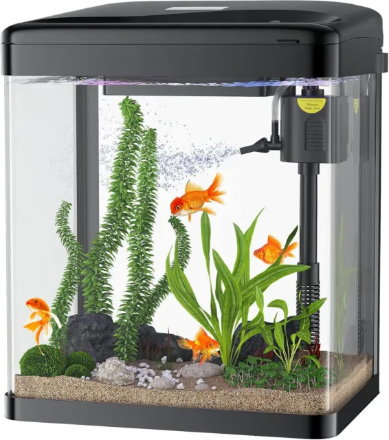 PONDON Betta Fish Tank, 2 Gallon Glass Aquarium, 3 in 1 Fish Tank with Filter an