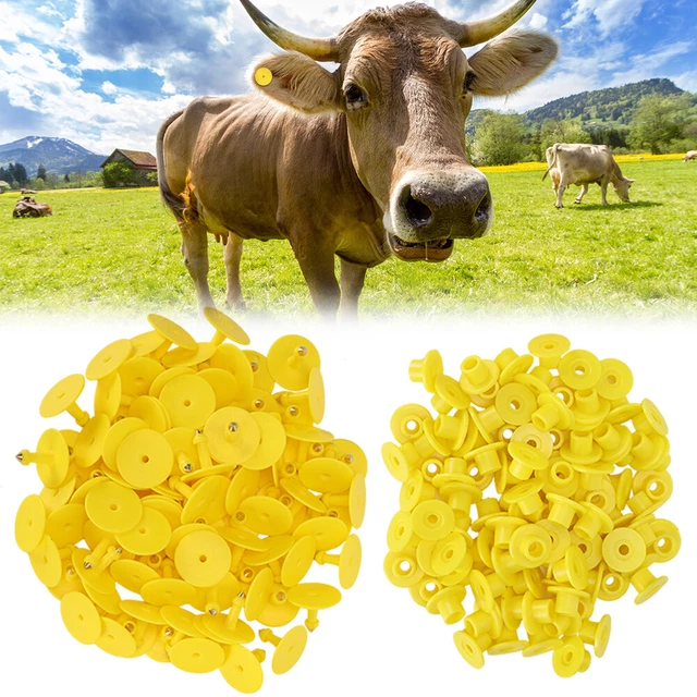 100pcs Animal Ear Tag Plastic Identification Card Anti Lost Marker For Farm L2S