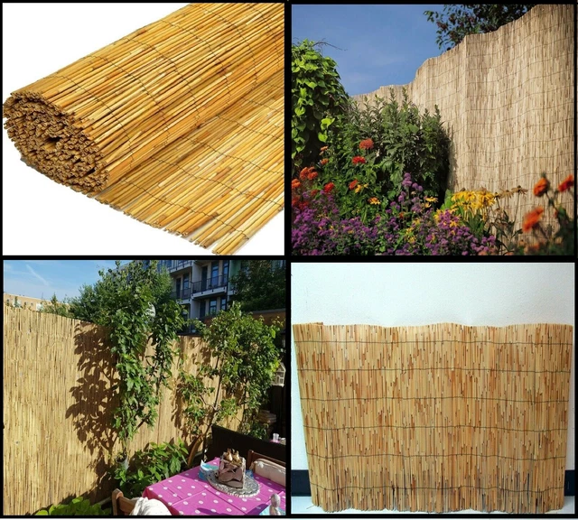 Bamboo Reed Backing 4M NATURAL PEELED Reed Screening Fencing Panel Bamboo Fence Roll ...