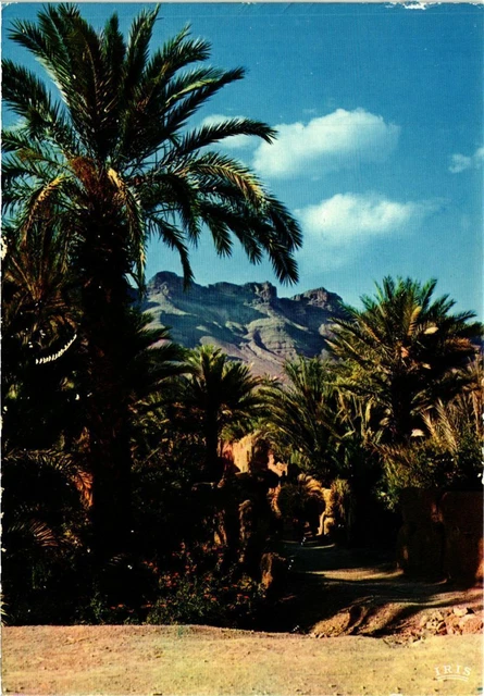 CPM AK MAROC Sud Marocain-Vallée du Draa (343213)