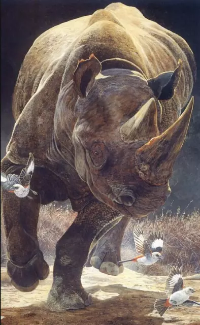Home wall Decor Art oil painting "Rhinoceros and Birds" hand painted on canvas