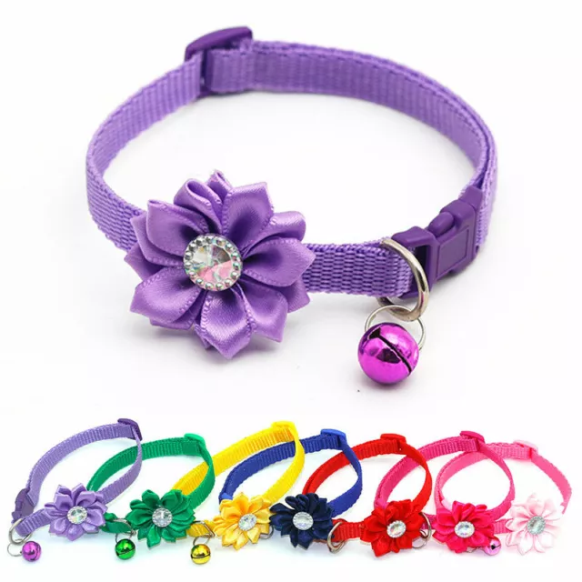 ✿Anneau De Cou Pour Animal De Compagnie Collier Pour Chiot Chat Chien Petite F