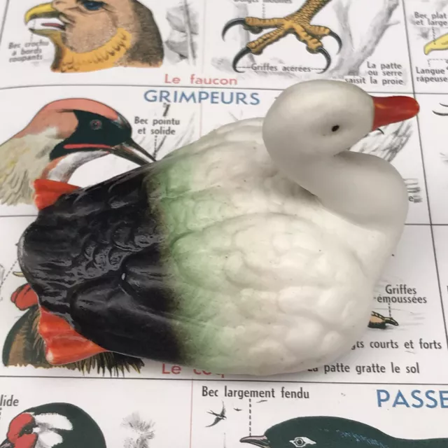 Sujet En Biscuit Polychrome Cygne Nageant