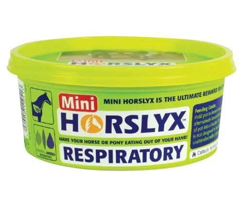 Horslyx Mini Vitamin and Mineral Lick 650g 3