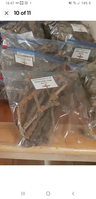200 Grams Lichen twigs!! - Oven Sterilised