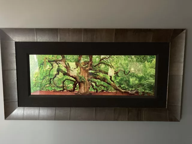 Peter Lik ‘Tree of Hope’ Framed Print