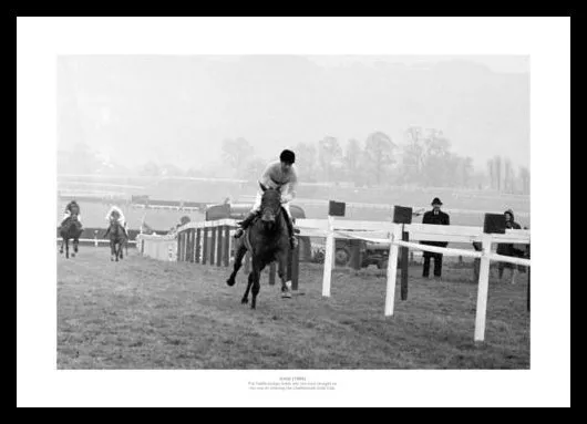 Arkle 1966 Cheltenham Gold  Cup Horse Racing Photo Memorabilia (513)