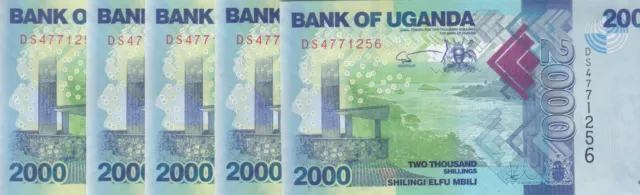 UGANDA 2000 SHILINGS 2021 P- 50 lot x5 UNC