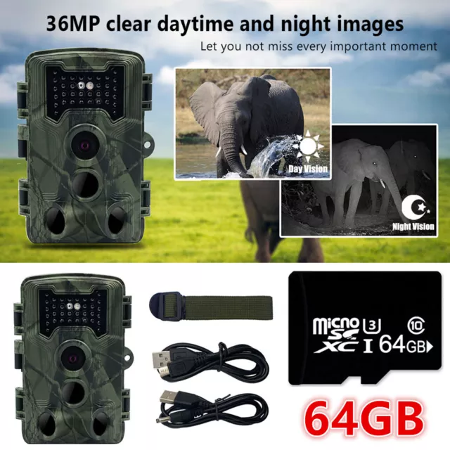 64GB HD 1080P Wildlife Hunting Trail Camera Scouting Cam PIR Night Vision Trap