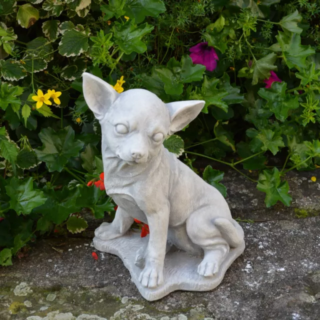 Solid Stone Figure Chihuahua Dog Garden Ornament Raumdeko Cast Frost Resistant