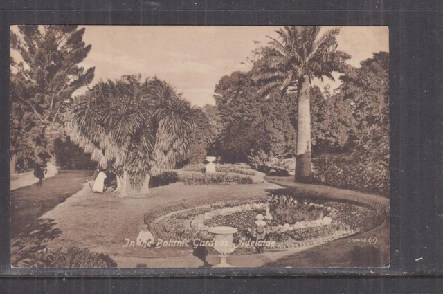 SOUTH AUSTRALIA, ADELAIDE, BOTANIC GARDENS, c1920 ppc., unused.