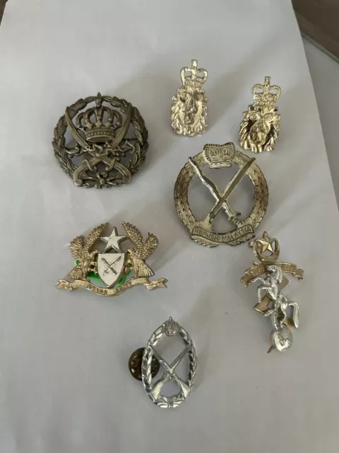 Arabic Malaysia JLFM Military Cap Badges F296