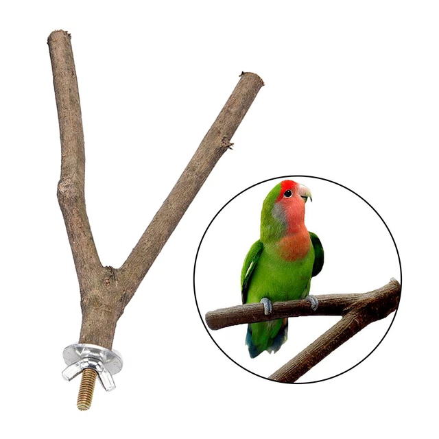Papagei Käfig Barsch Vogel Stand Natürliche Holz Schleifen Kauen Stick