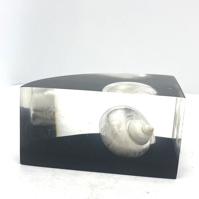 VINTAGE LUCITE SINGLE Bookend Encased Iridescent Shell MidCentury
