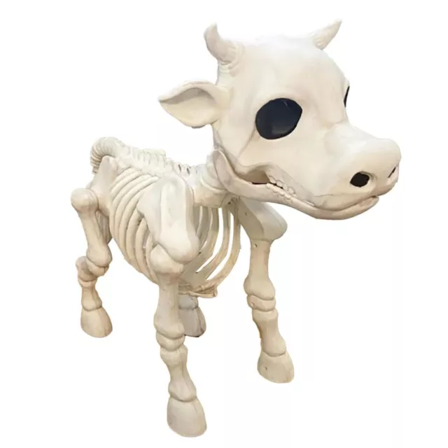 Accessoire Décoratif 'Halloween Squelette De Vache Décor 'Halloween