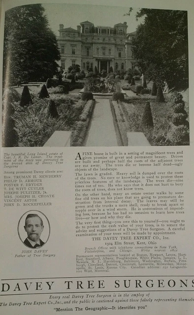 Davey Tree Surgeons 1919 Print Ad Antique Original Long Island Lamar Kent OH NG