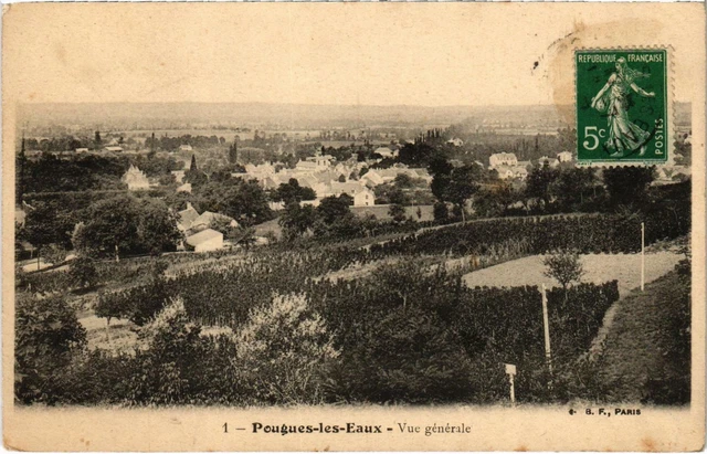 CPA POUGUES-les-EAU - General view of Nievre (100200)