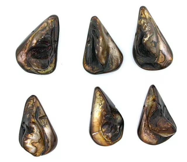6 Piece 4/5 Inch Pear Golden Brown Blister Pearl Bead Focal Gemstone Strand SB33