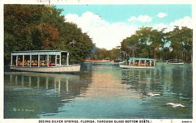Vintage Postcard 1920's Glass Bottom Boats Seeing Silver Springs Florida FL