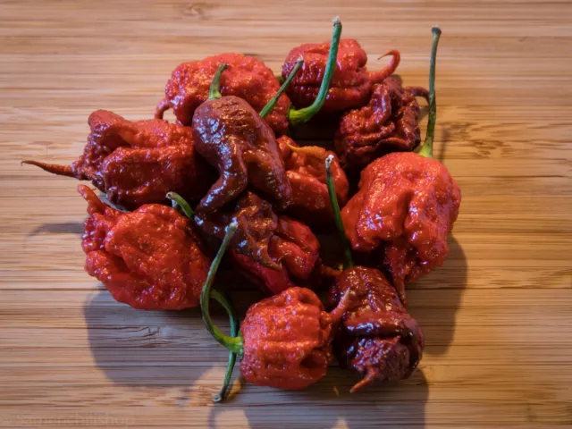 Carolina Reaper -Chocolate- 10 Samen -NEU- RARITÄT - Weltrekord Sorte