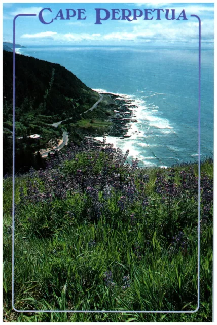 Vintage Cape Perpetua Oregon Coast OR Postcard Lithographed Photo Card *Unused*