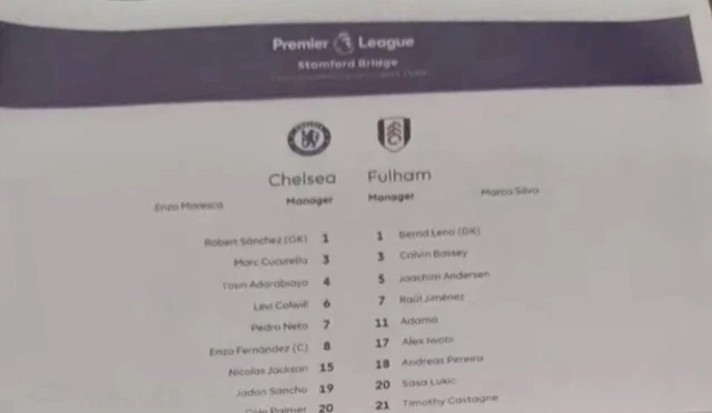 OFFICIAL TEAMSHEET CHELSEA v FULHAM 26/12/2024 MINT UNFOLDED £3.99 ...