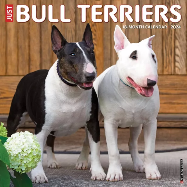 Solo Bull Terrier - 2024 Calendario da Parete - Nuovo - 32701