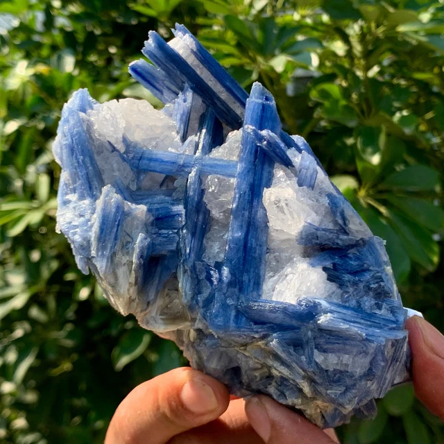 1.46LB Rare!! Natural beautiful Blue KYANITE with Quartz Crystal Specimen Rough