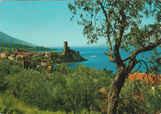 Malcesine Veduta Panoramica Anno 1963 Viaggiata
