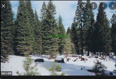California Pines .92 Acre Hill Unit Lot For Sale - 36 Months Term Available