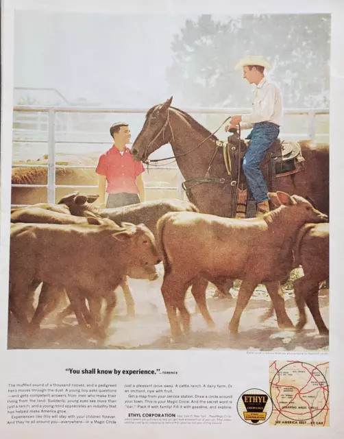 1963 Ethyl Gas Cattle Ranch In Central Arkansas Photo By Raymond Jacobs Print Ad
